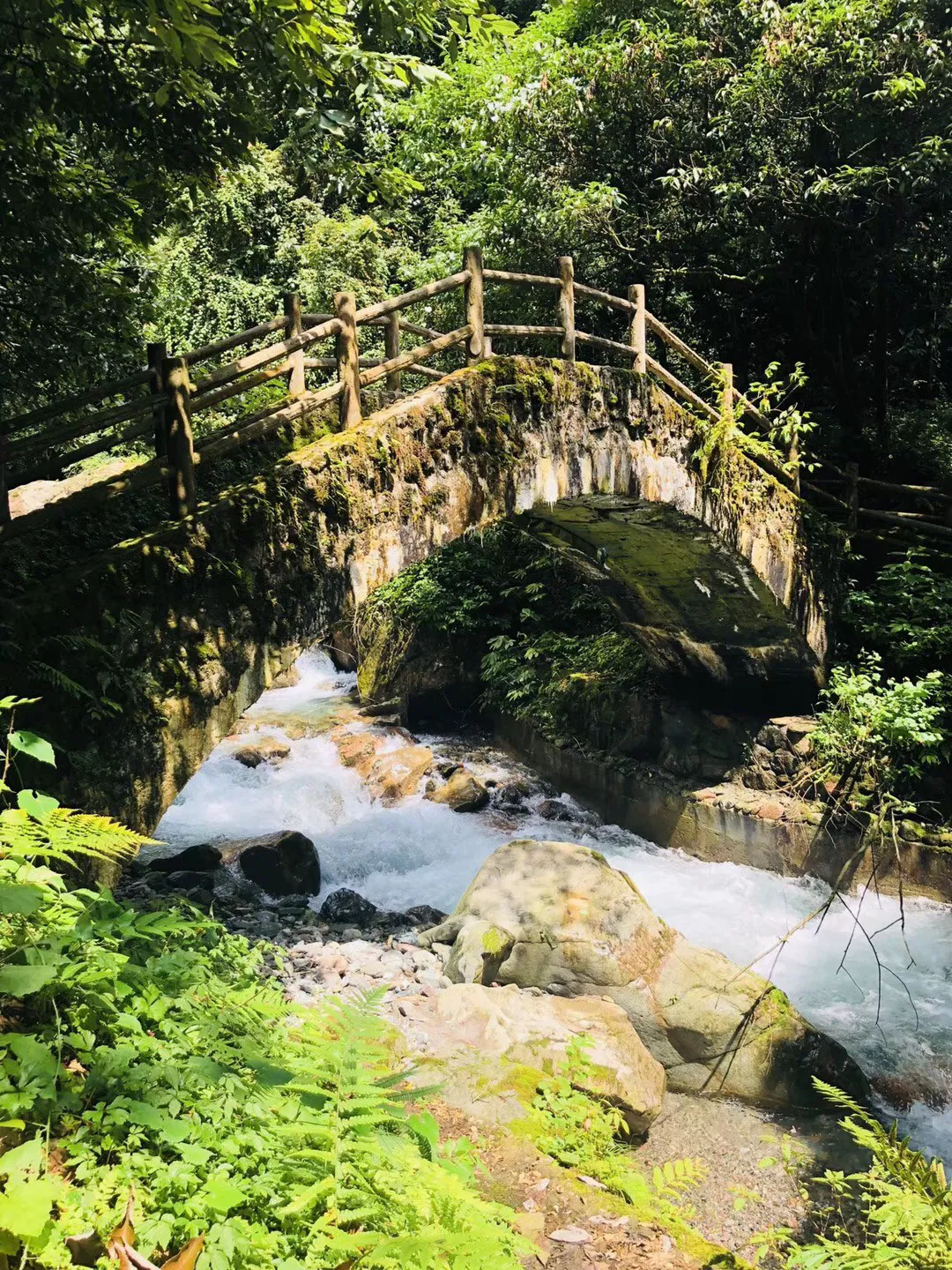 拯救可爱小怪